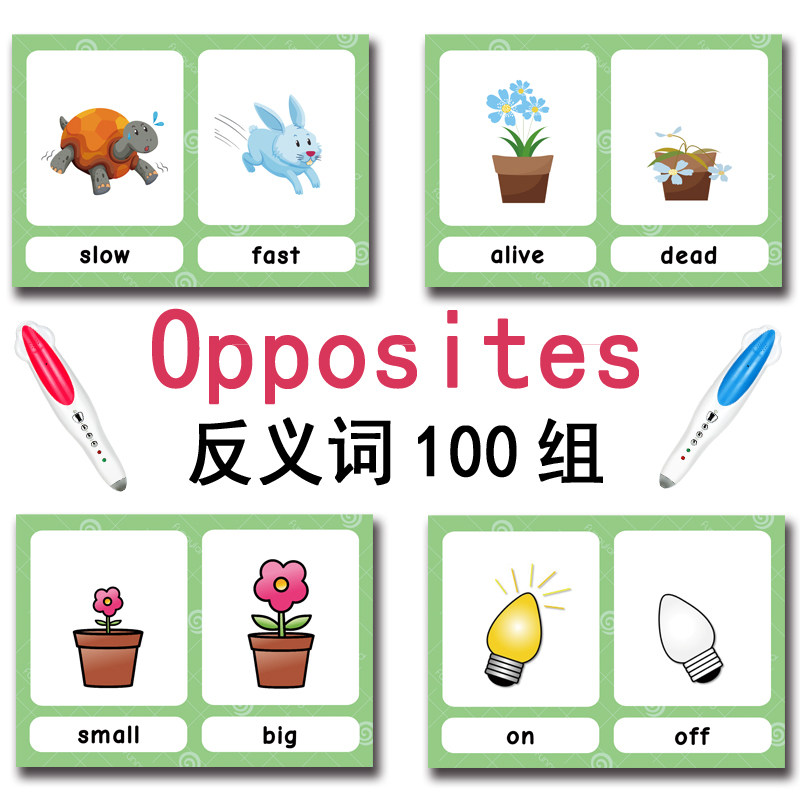 แฟลชการ์ดคำศัพท์ภาษาอังกฤษ 100 - Kids Education Product บทวิจารณ์และราคา